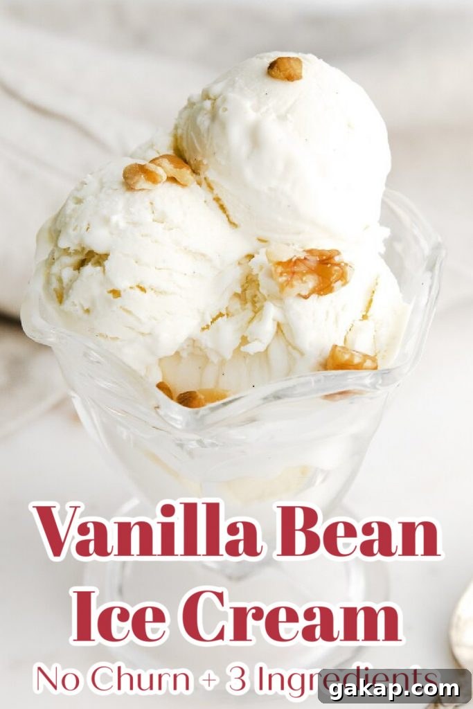 Vanilla Bean Ice Cream