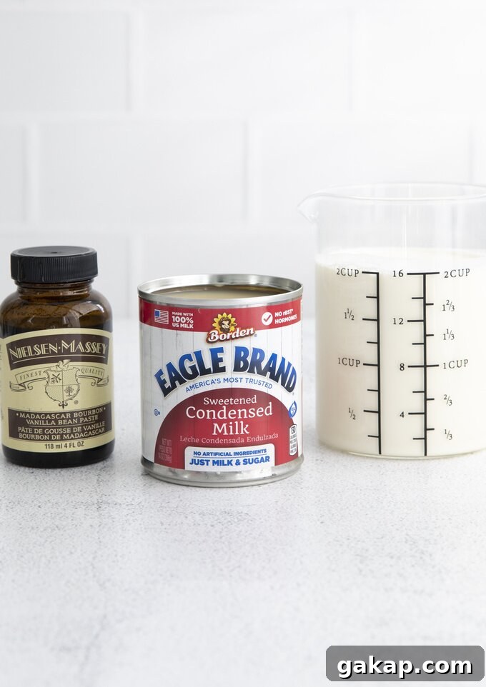Vanilla Bean Ice Cream Recipe