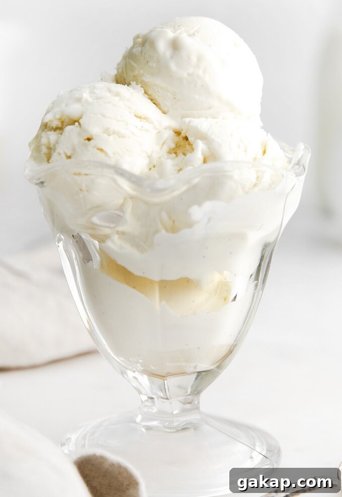 No Churn Vanilla Bean Ice Cream