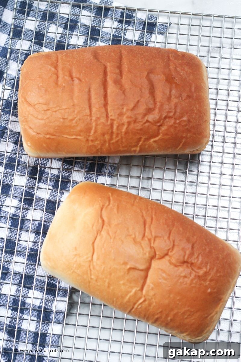 Simple Homemade Bread Recipe: Step-by-Step Guide for Soft Loaves 3 img 81937 2