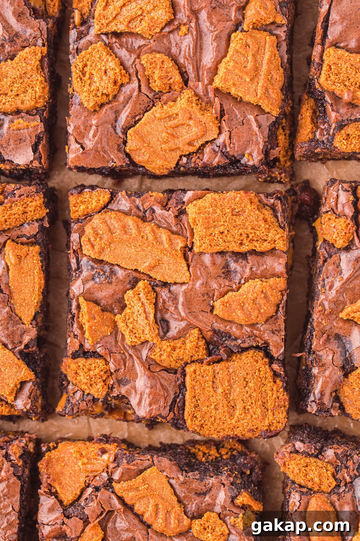 A close up of Biscoff biscuit brownies.