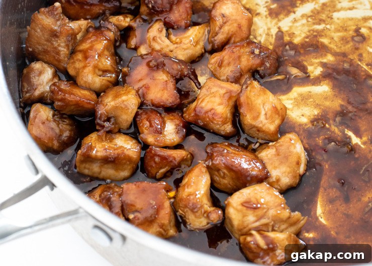 overhead shot of asian chicken bites