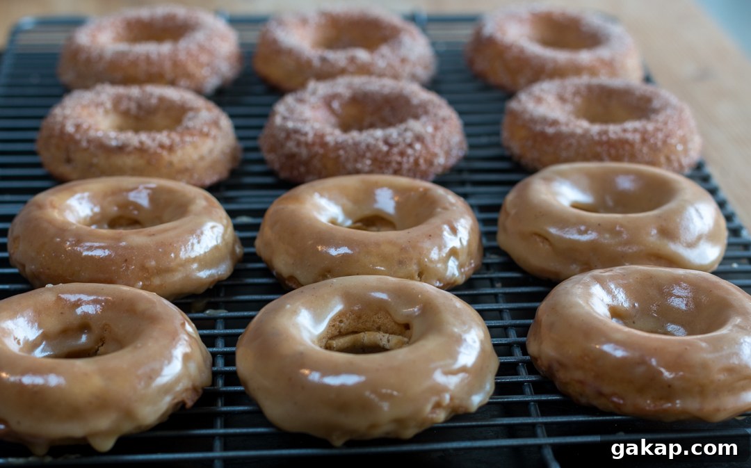 Glazed and cinnamon sugar dipped baked donuts