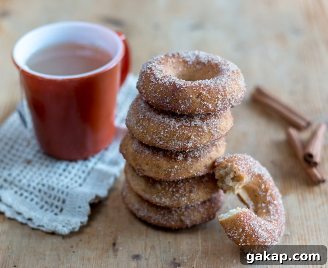 Cinnamon sugar dipped baked donuts