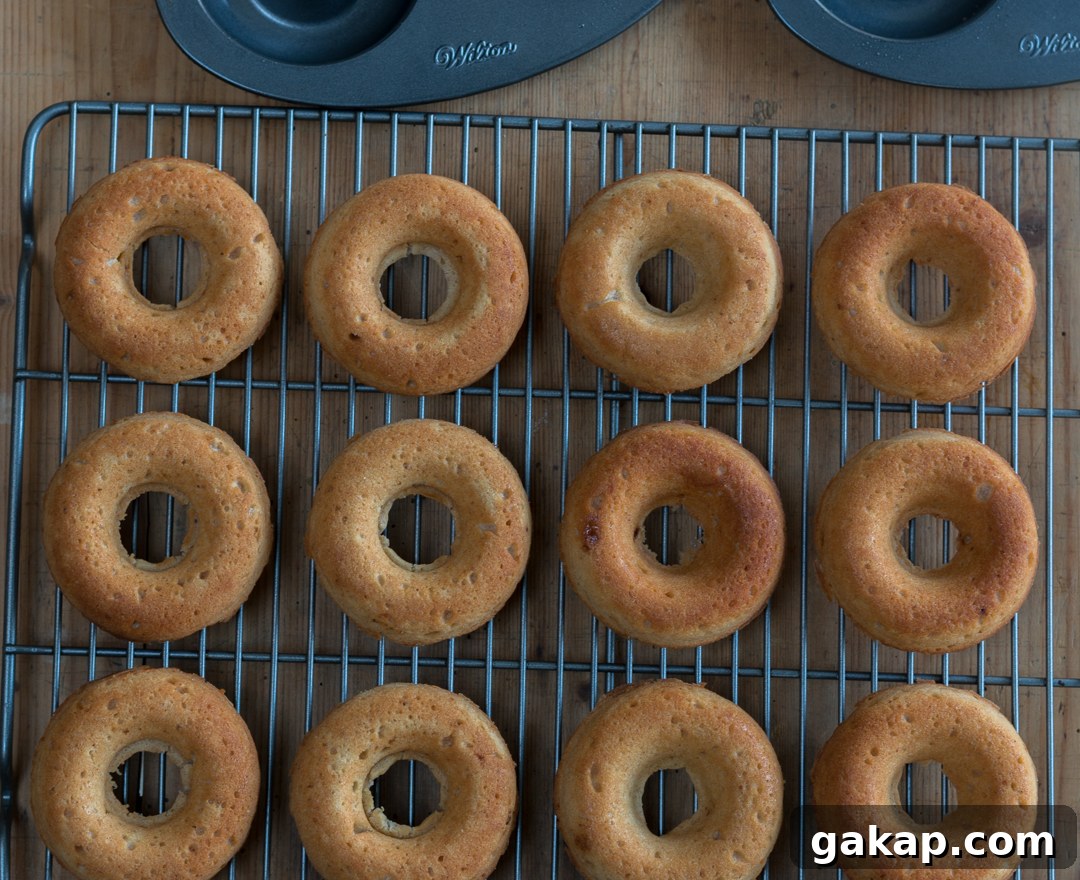 Light and springy baked donuts
