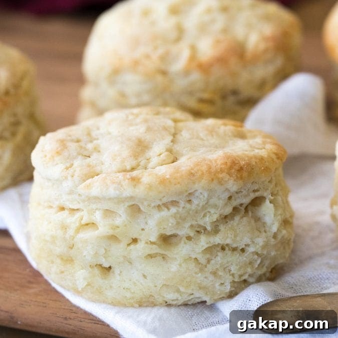 flaky biscuit on white cloth
