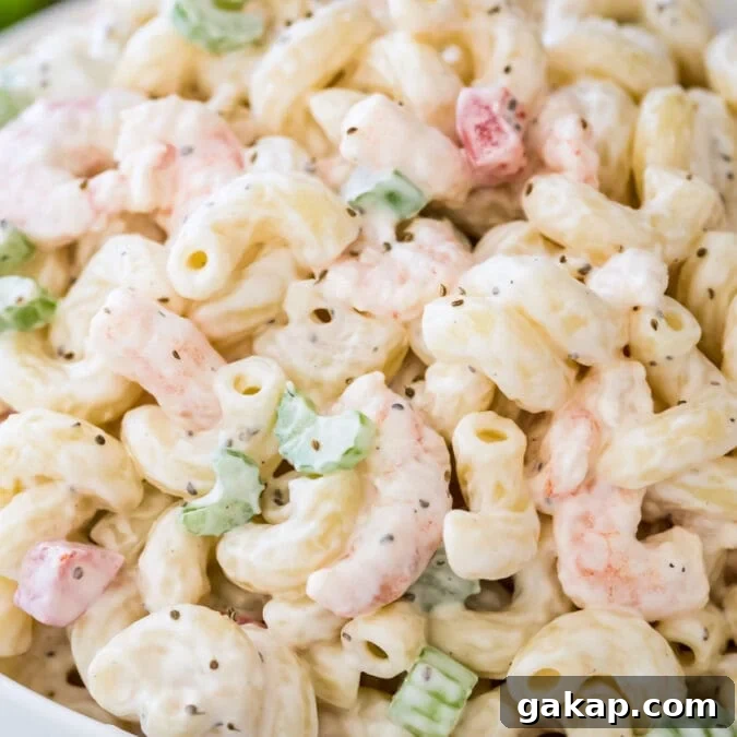 Closeup of shrimp pasta salad