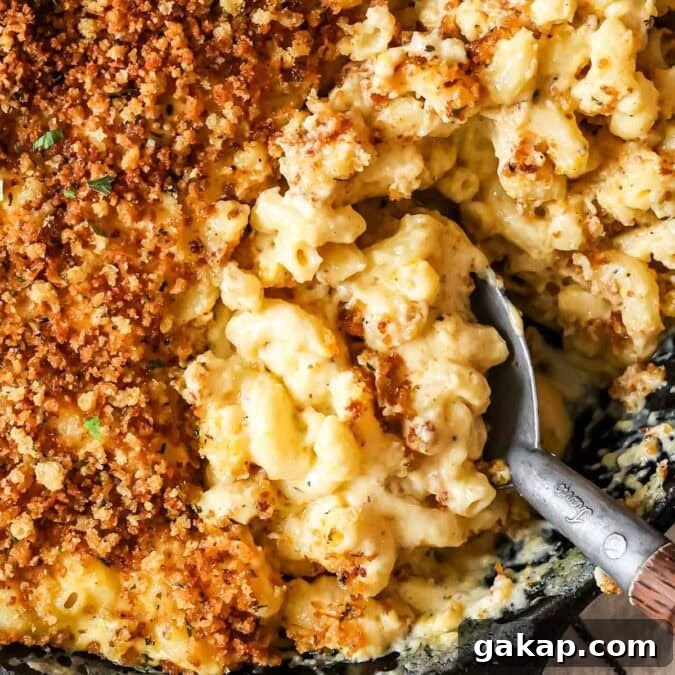 Close-up of creamy, cheesy baked mac and cheese in dish with serving spoon and crispy panko.