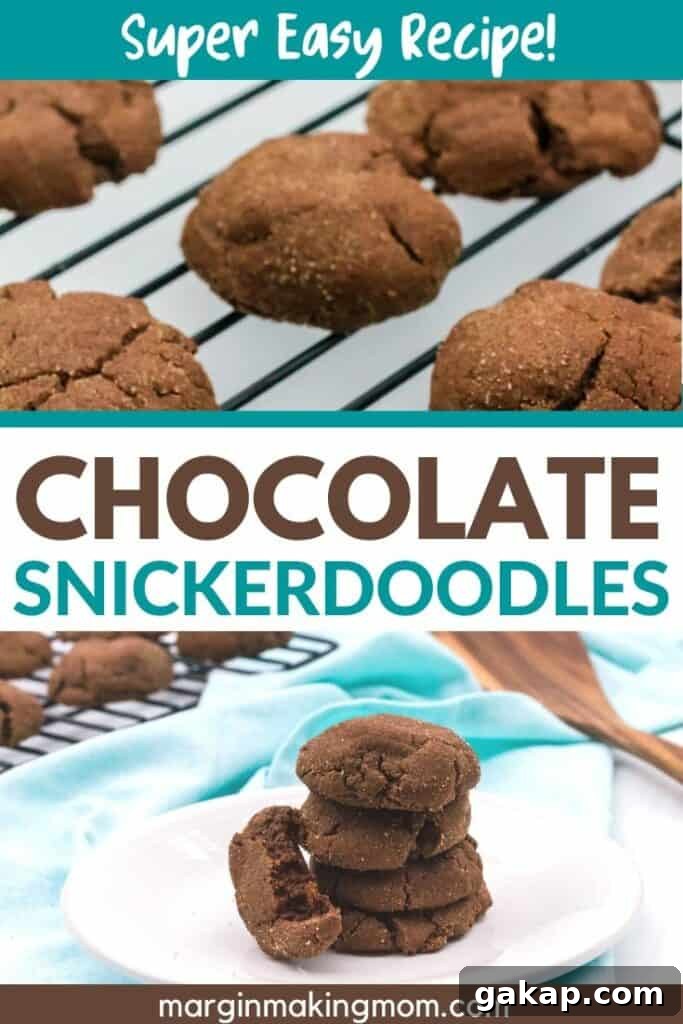Chewy Chocolate Snickerdoodles Recipe for Cocoa Lovers 2 stack of several chocolate snickerdoodle cookies