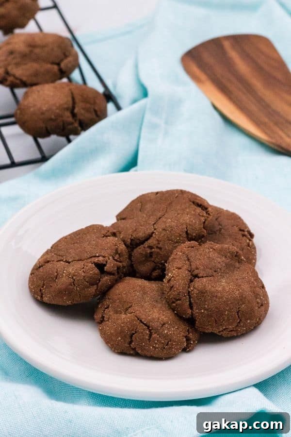 Chewy Chocolate Snickerdoodles Recipe for Cocoa Lovers 3 plate with several chocolate snickerdoodle cookies on it