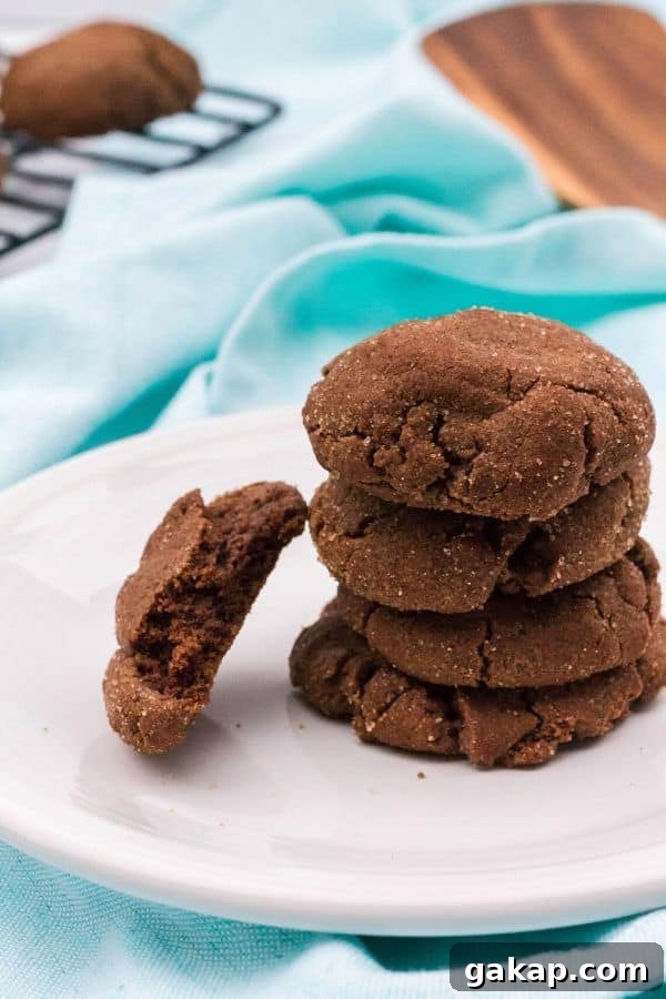 Chewy Chocolate Snickerdoodles Recipe for Cocoa Lovers 4 stack of chocolate snickerdoodles on a white plate