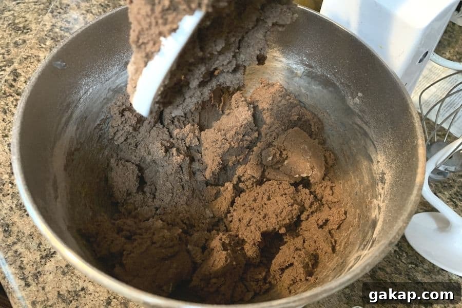 Chewy Chocolate Snickerdoodles Recipe for Cocoa Lovers 5 stand mixer of cookie dough for chocolate snickerdoodles