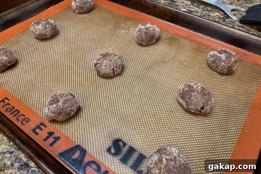 Chewy Chocolate Snickerdoodles Recipe for Cocoa Lovers 6 chocolate snickerdoodle dough balls on a baking sheet