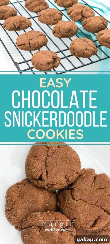Chewy Chocolate Snickerdoodles Recipe for Cocoa Lovers 10 several chocolate snickerdoodle cookies on a white plate and cooling rack