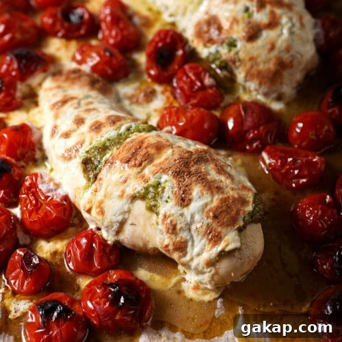 Roasted chicken breasts with melted mozzarella on top with roasted tomatoes on a sheet pan