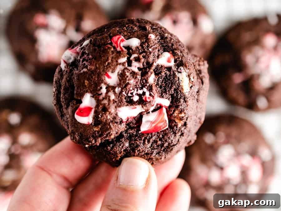 Close-up of hand holding chocolate peppermint cookie