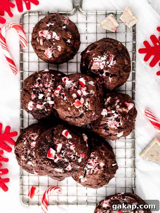 overhead of chocolate peppermint cookies on wire rack with candy canes around