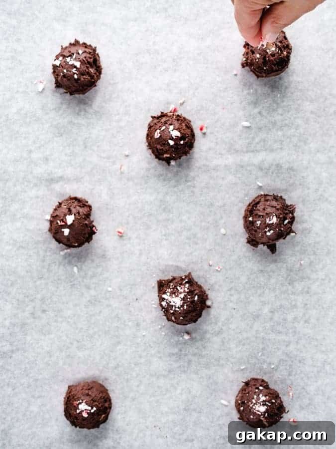 Sprinkling peppermint candies on chocolate cookie dough on a baking tray