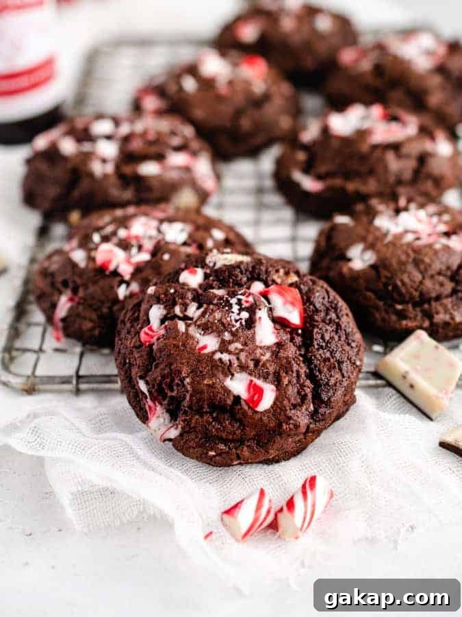 Close-up of chocolate peppermint cookies