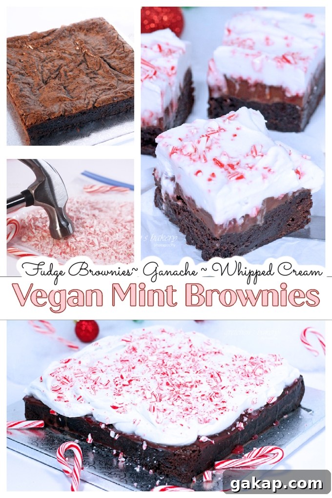 Fudgy Mint Brownies with Rich Chocolate Ganache 2 mint brownies