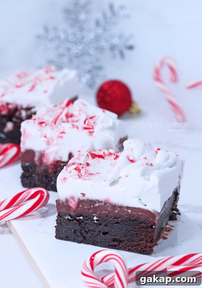 Fudgy Mint Brownies with Rich Chocolate Ganache 3 Fudge Mint Brownies