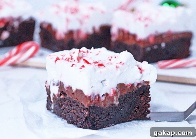 Fudgy Mint Brownies with Rich Chocolate Ganache 4 Fudge Mint Brownies