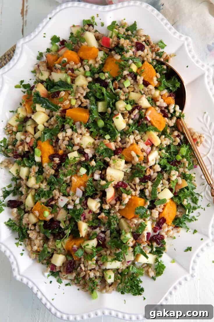 Image for Autumn Farro Salad