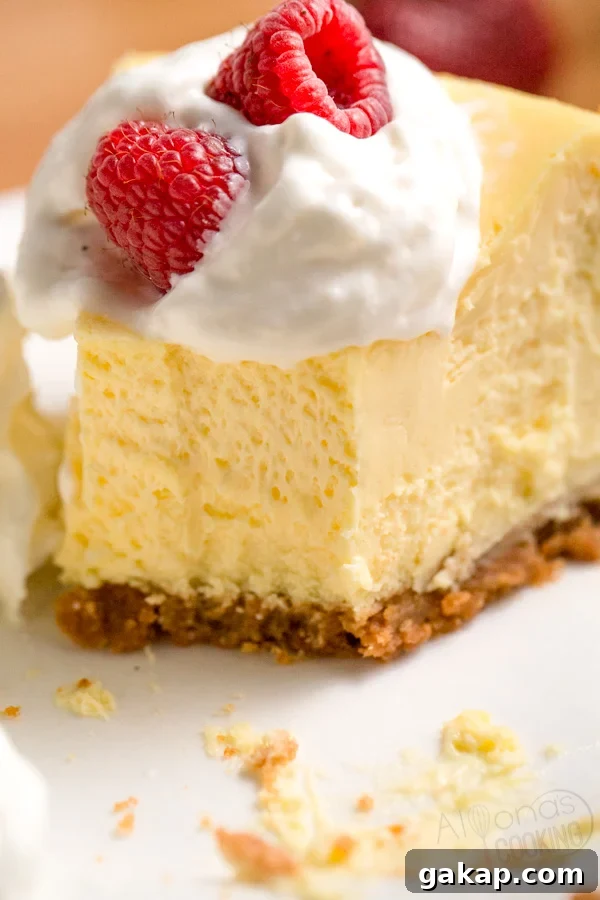 cheesecake slice plated