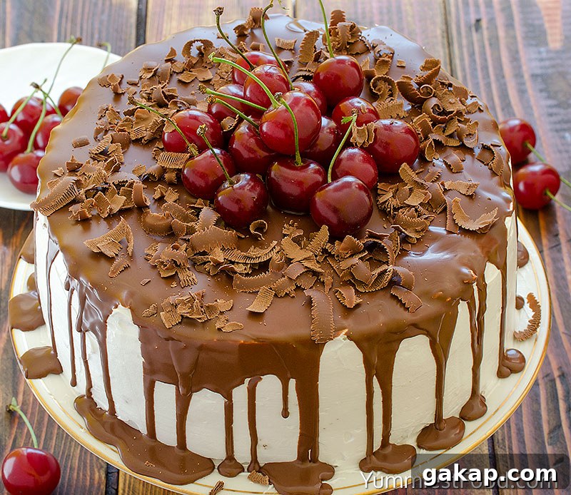 Cherry Chocolate Cake with lots of Cherries on top