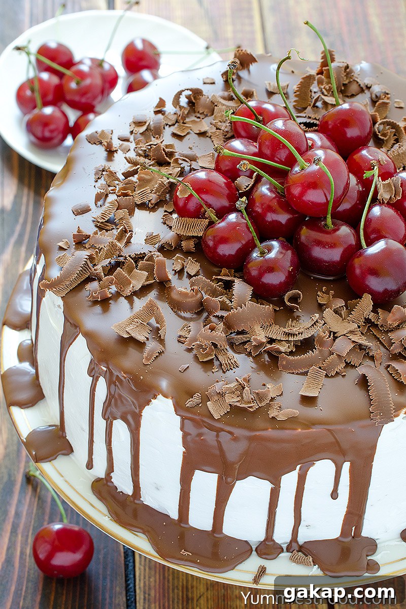 Cherry Chocolate Cake