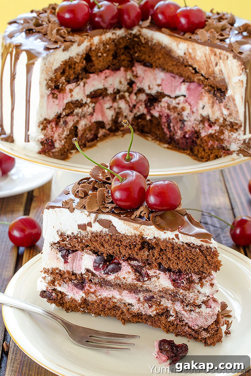 Cherry Chocolate Cake - Served