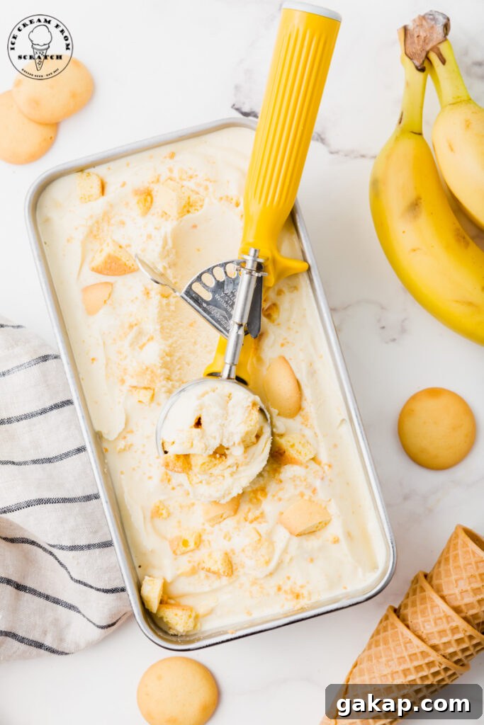 Creamy Banana Pudding Ice Cream Recipe You’ll Love 2 a metal pan filled with banana ice cream topped with vanilla wafers being scooped with a yellow ice cream scoop.