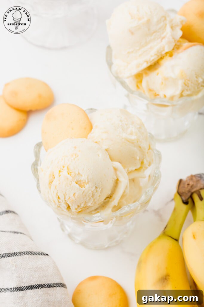 Creamy Banana Pudding Ice Cream Recipe You’ll Love 5 two glass ice cream dishes filled with scoops of banana pudding ice cream and garnished with whole vanilla wafers.