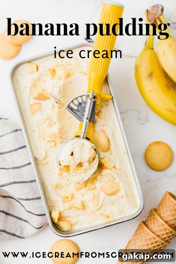 Creamy Banana Pudding Ice Cream Recipe You’ll Love 7 a metal pan filled with banana ice cream topped with vanilla wafers being scooped with a yellow ice cream scoop.