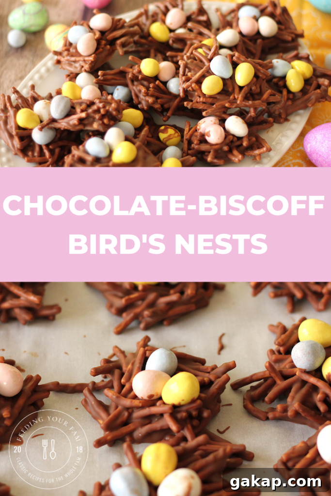 Chocolate Biscoff Bird's Nests are the perfect Spring or Easter treat! So easy to make and no baking required!! #nobakecookies #eastertreats chocolate biscoff bird's nests cookies