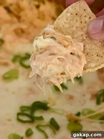 slow cooker buffalo chicken dip with raw chicken.