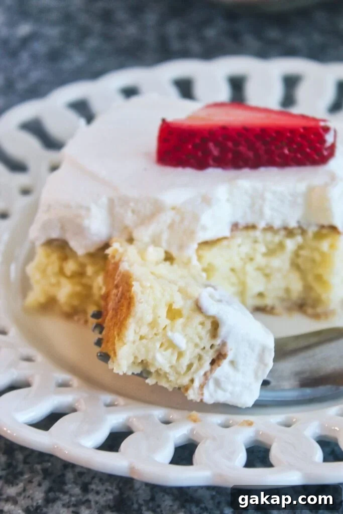 fork full of cake on white plate
