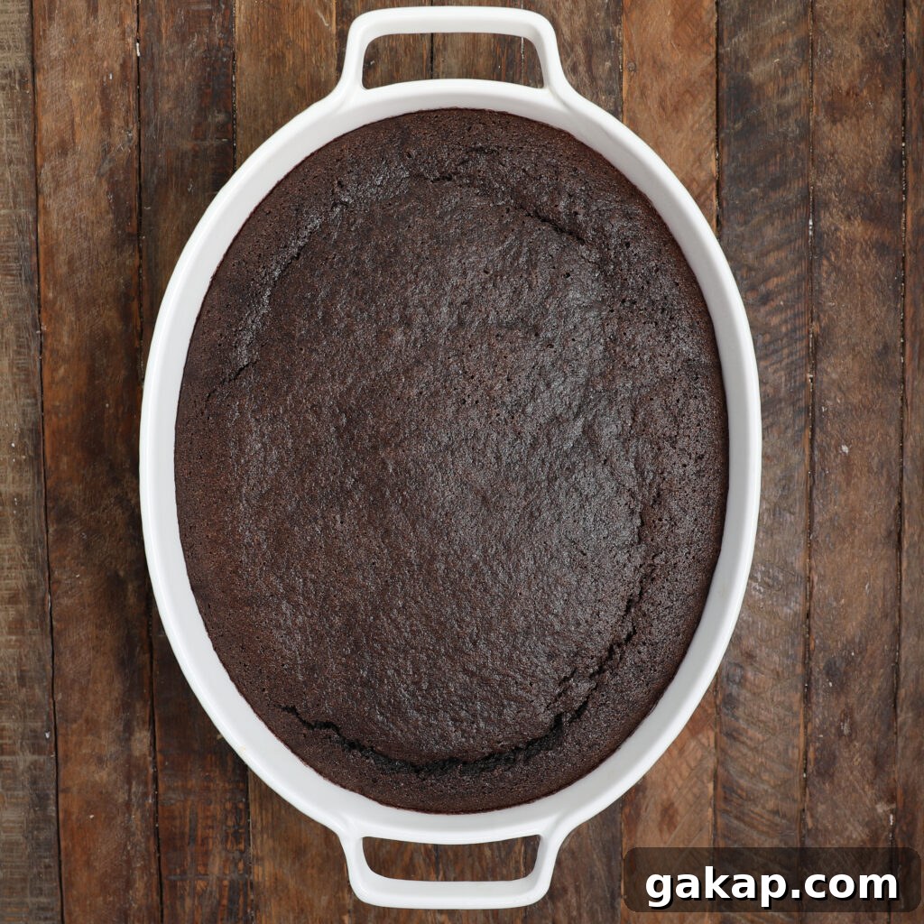 A freshly baked black forest cobbler sits in a white oval baking dish on a rustic wooden surface, viewed from above. The dessert has a smooth, slightly cracked top with a rich, dark brown color.
