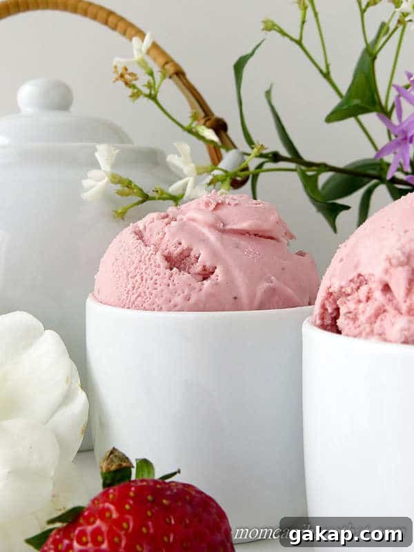 A sophisticated strawberry ice cream with a tart, acidic bite and nice depth of flavor. This low carb Strawberry Buttermilk Ice Cream, is ice cream at its best. | low carb & keto | lowcarbmaven.com