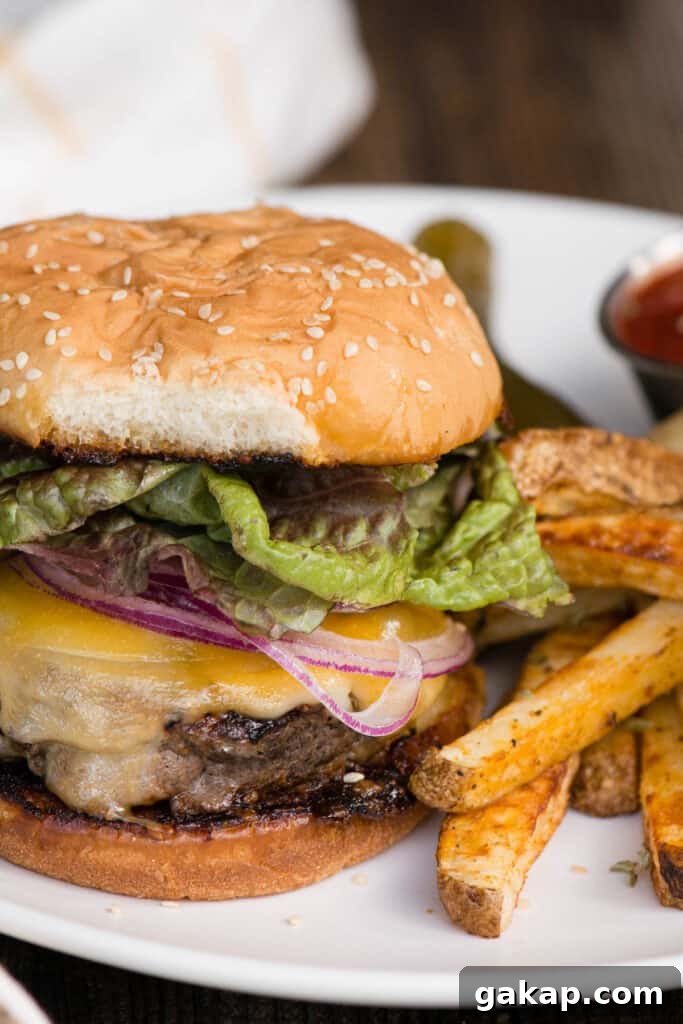 homemade cheeseburger with fries