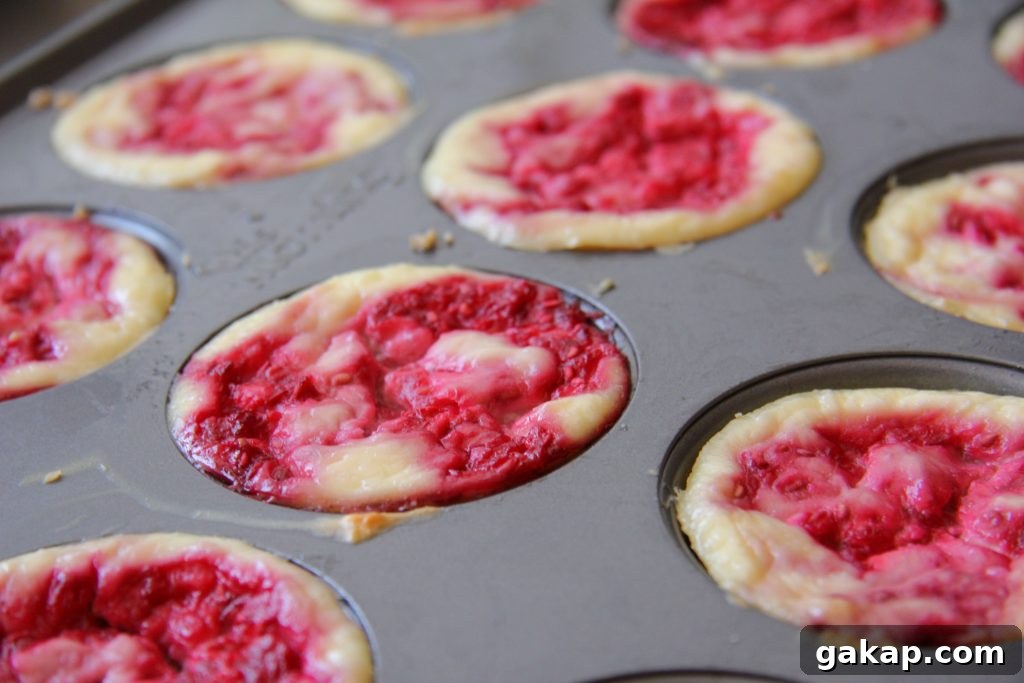 Coconut & Raspberry Cheesecakes