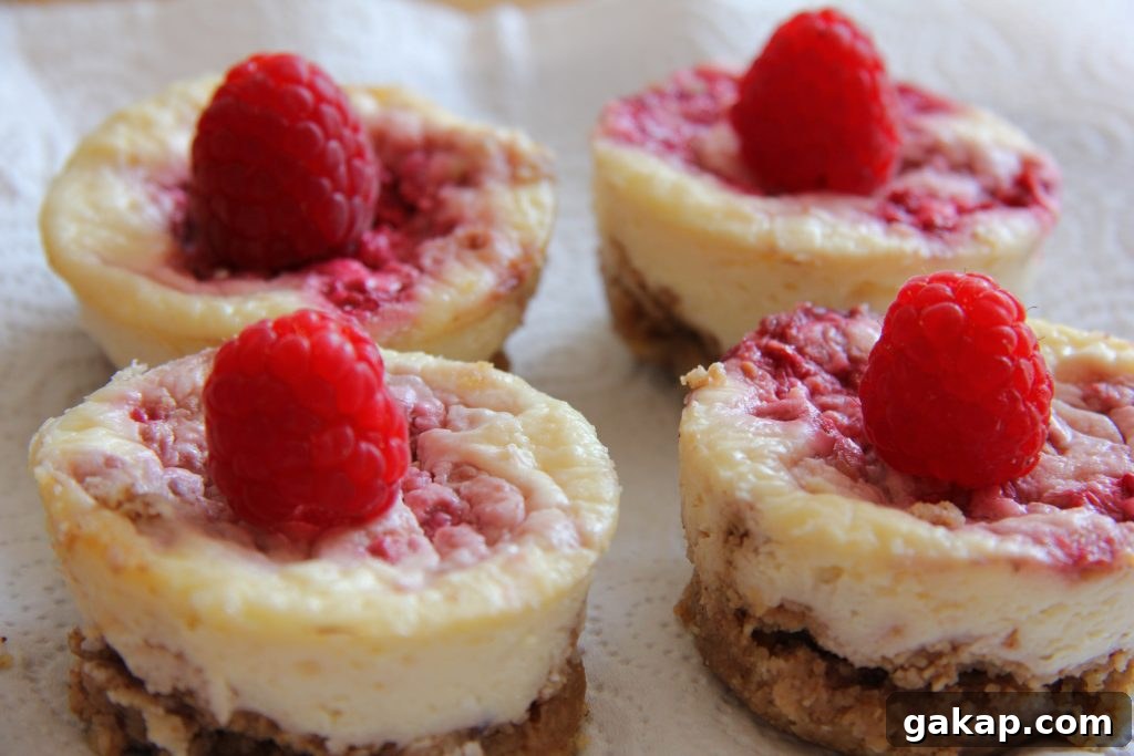 Coconut & Raspberry Cheesecakes