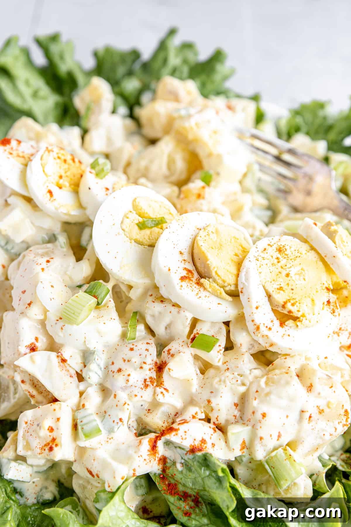 Garnishes and a Line of Hard-Boiled Egg Slices on Top of a Creamy Potato Salad