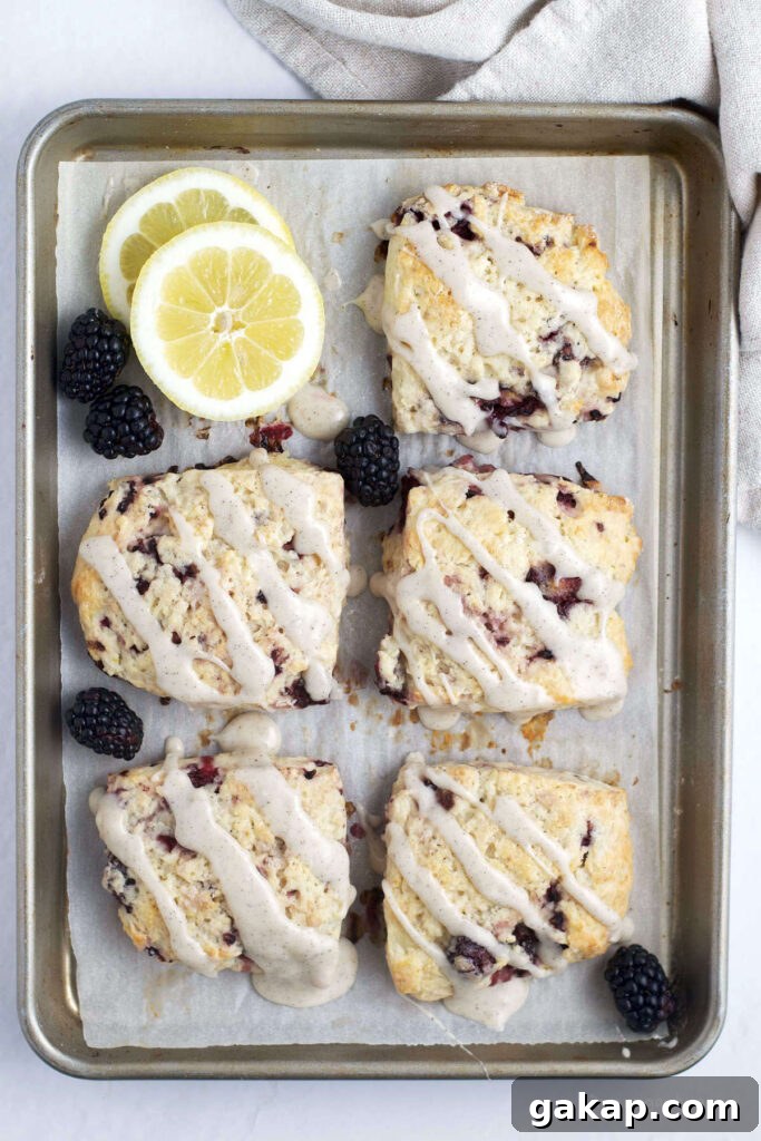 five blackberry lemon scones on a baking sheet with lemons and blackberries