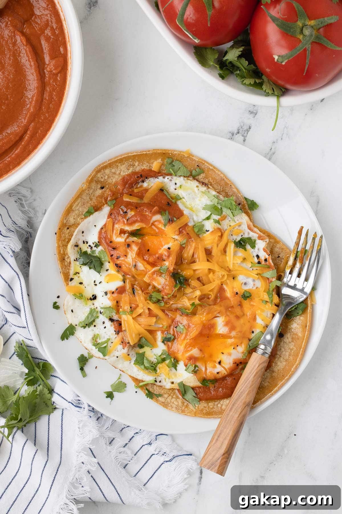 A plate of huevos rancheros, corn tortillas topped with fried eggs, cheese and ranchero sauce.